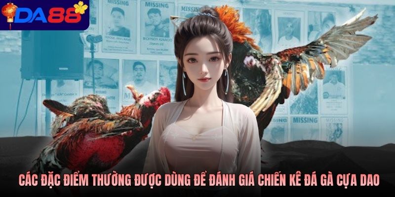 Các đặc điểm thường được dùng để đánh giá chiến kê đá gà cựa dao