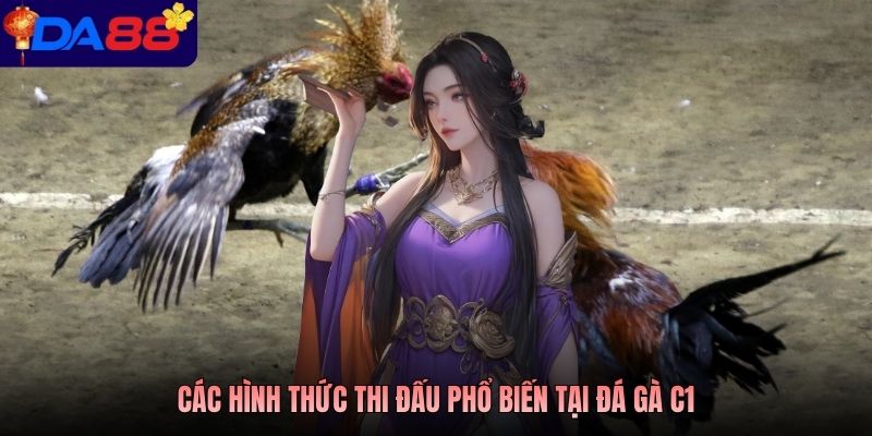 Các hình thức thi đấu phổ biến tại đá gà C1