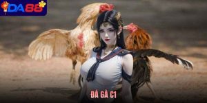 Đá Gà C1 Là Gì? Tổng Quan Giải Đấu Và Cách Quan Sát Chiến Kê