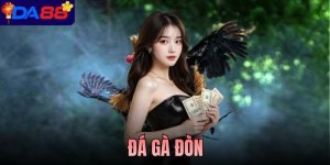 Đá Gà Đòn - Chọi Kê Truyền Thống Mang Đậm Tính Kỹ Thuật