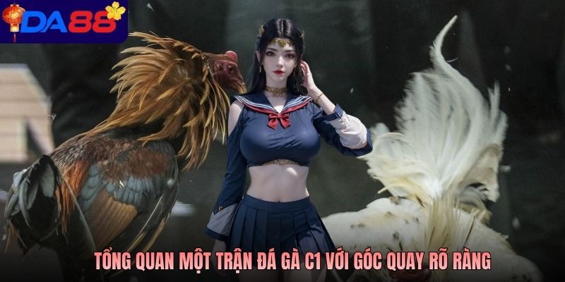 Tổng quan một trận đá gà C1 với góc quay rõ ràng
